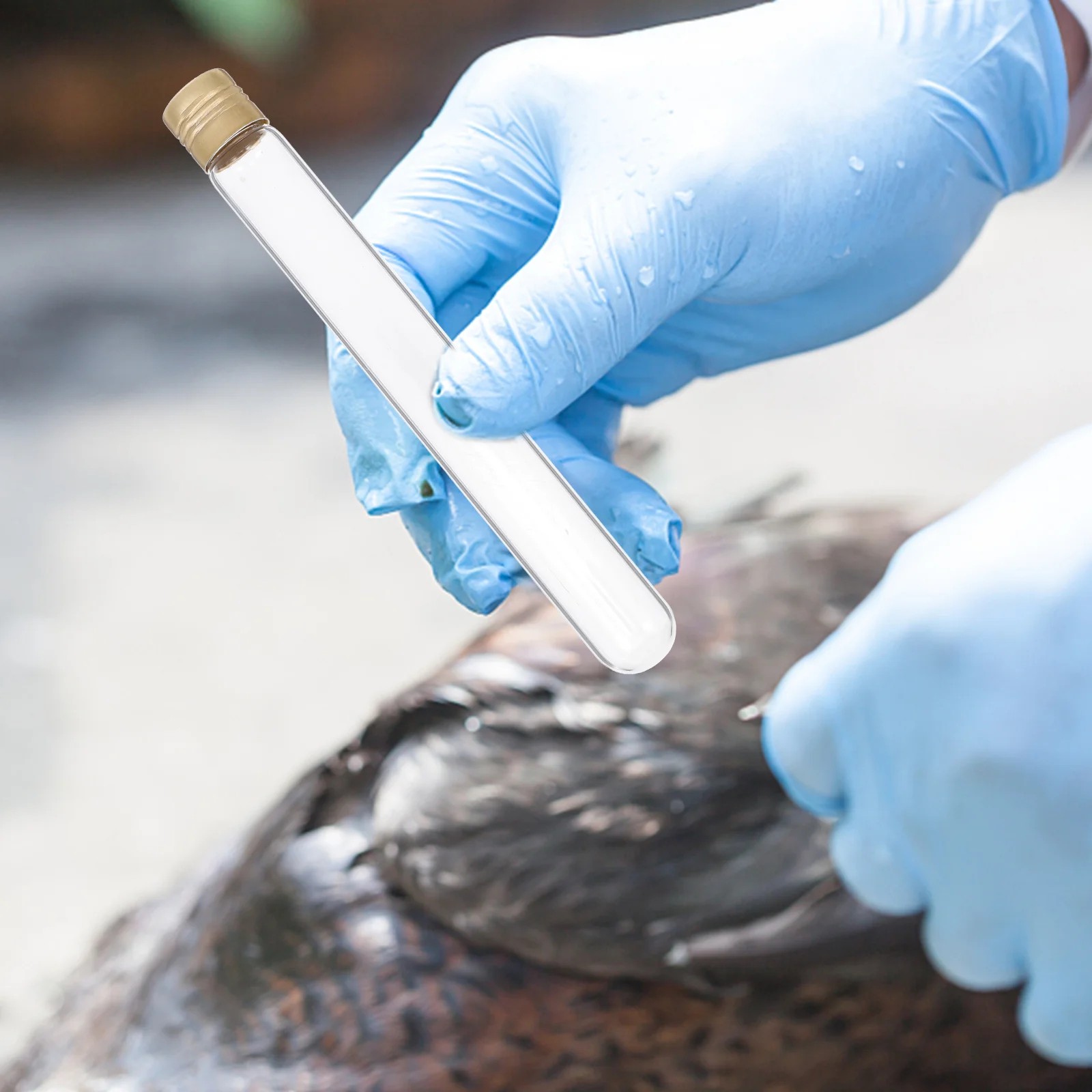 5Pcs Screw Cap Sample Tubes Leak-Proof Glass Tubes for Medical Test Nasal Swab Storage Sample Tube Sampling Tube
5Pcs Screw Cap Sample Tubes Leak-Proof Glass Tubes for Medical Test Nasal Swab Storage Sample Tube Sampling Tube