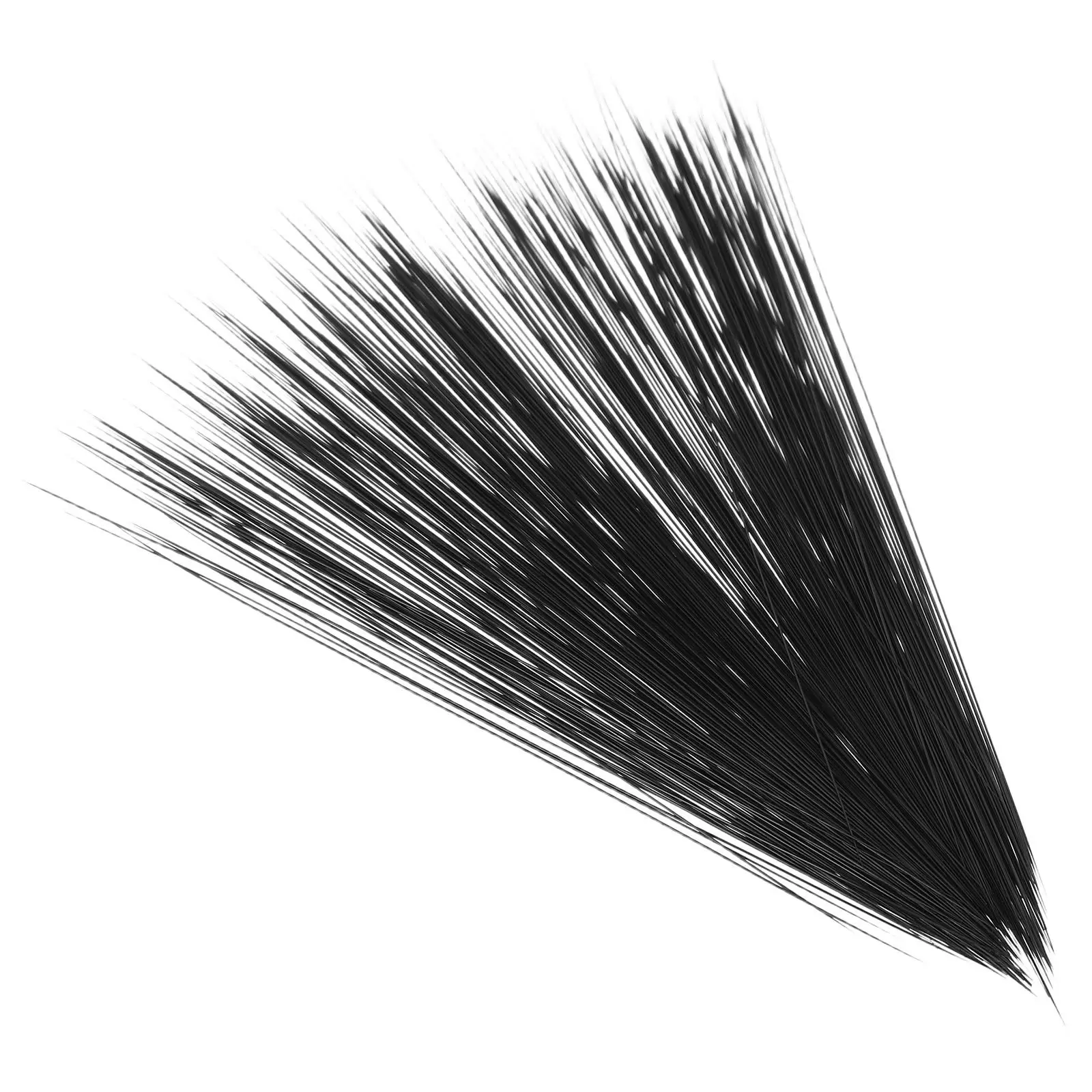 250Pcs Cat Whiskers Simulated Artificial Realistic Needle Felting Craft Supplies for Stuffed Animals DIY Handmade Accessories
250Pcs Cat Whiskers Simulated Artificial Realistic Needle Felting Craft Supplies for Stuffed Animals DIY Handmade Accessories