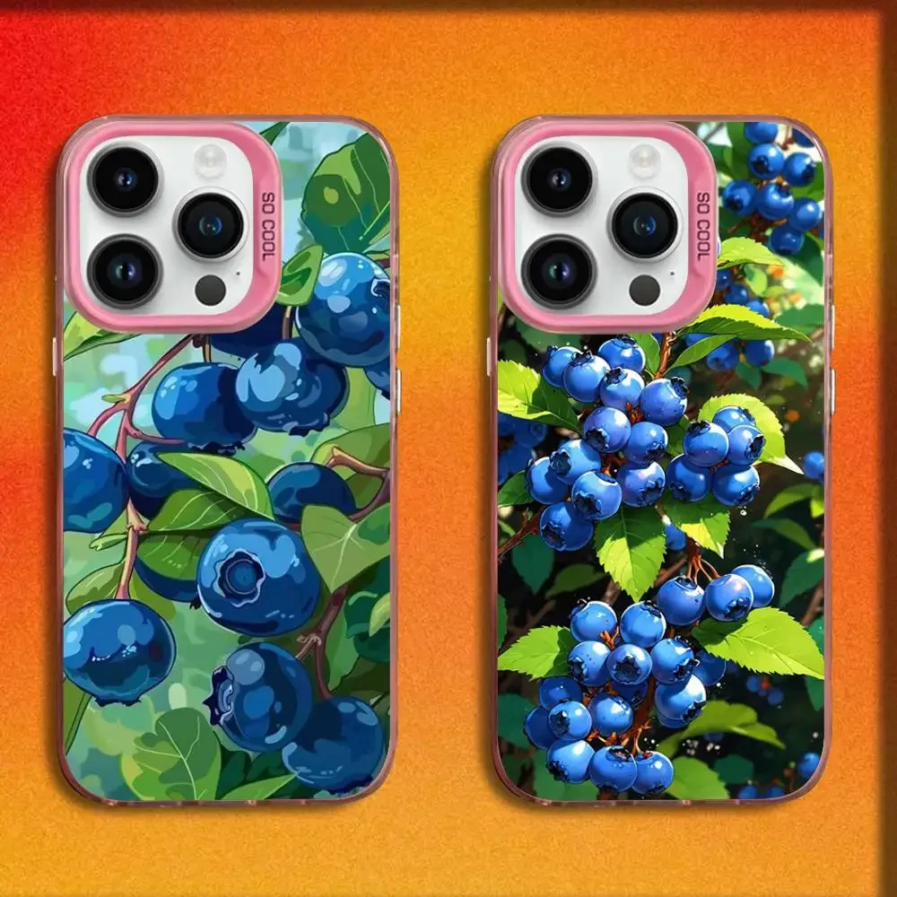Fruit blueberry berries Phone Case For iPhone 17,16,15,14,13,12,11,Pro,Max,Plus,E,SE4,Air,Mini Pink IMD Box
Fruit blueberry berries Phone Case For iPhone 17,16,15,14,13,12,11,Pro,Max,Plus,E,SE4,Air,Mini Pink IMD Box