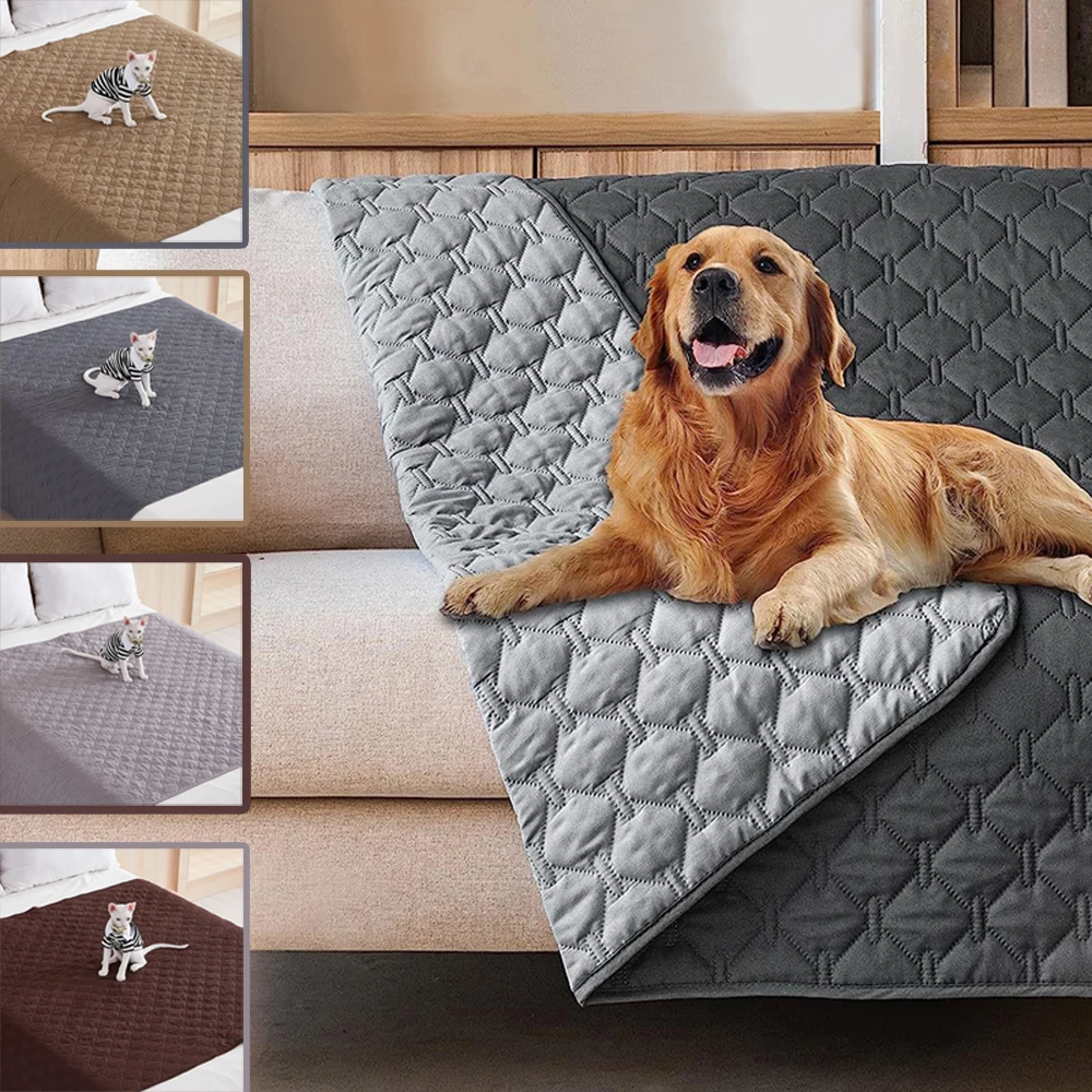 Waterproof Pet Mattress Non-slip Reusable Pet Pad Protective Cat Sofa Cushion Light Easy Clean Small Dog Mat in Spring
Waterproof Pet Mattress Non-slip Reusable Pet Pad Protective Cat Sofa Cushion Light Easy Clean Small Dog Mat in Spring