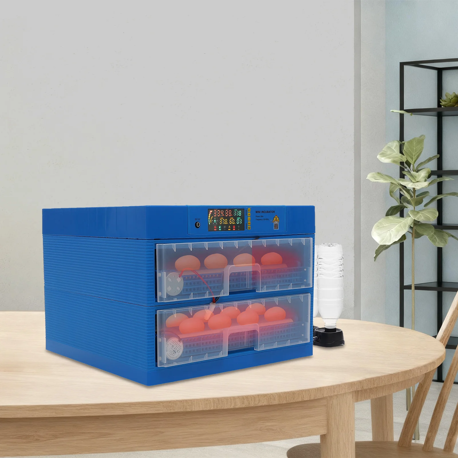 128 Eggs Automatic Egg Incubator Blue PP Material Dual Power Supply LED Display Adjustable Temperature Humidity
128 Eggs Automatic Egg Incubator Blue PP Material Dual Power Supply LED Display Adjustable Temperature Humidity