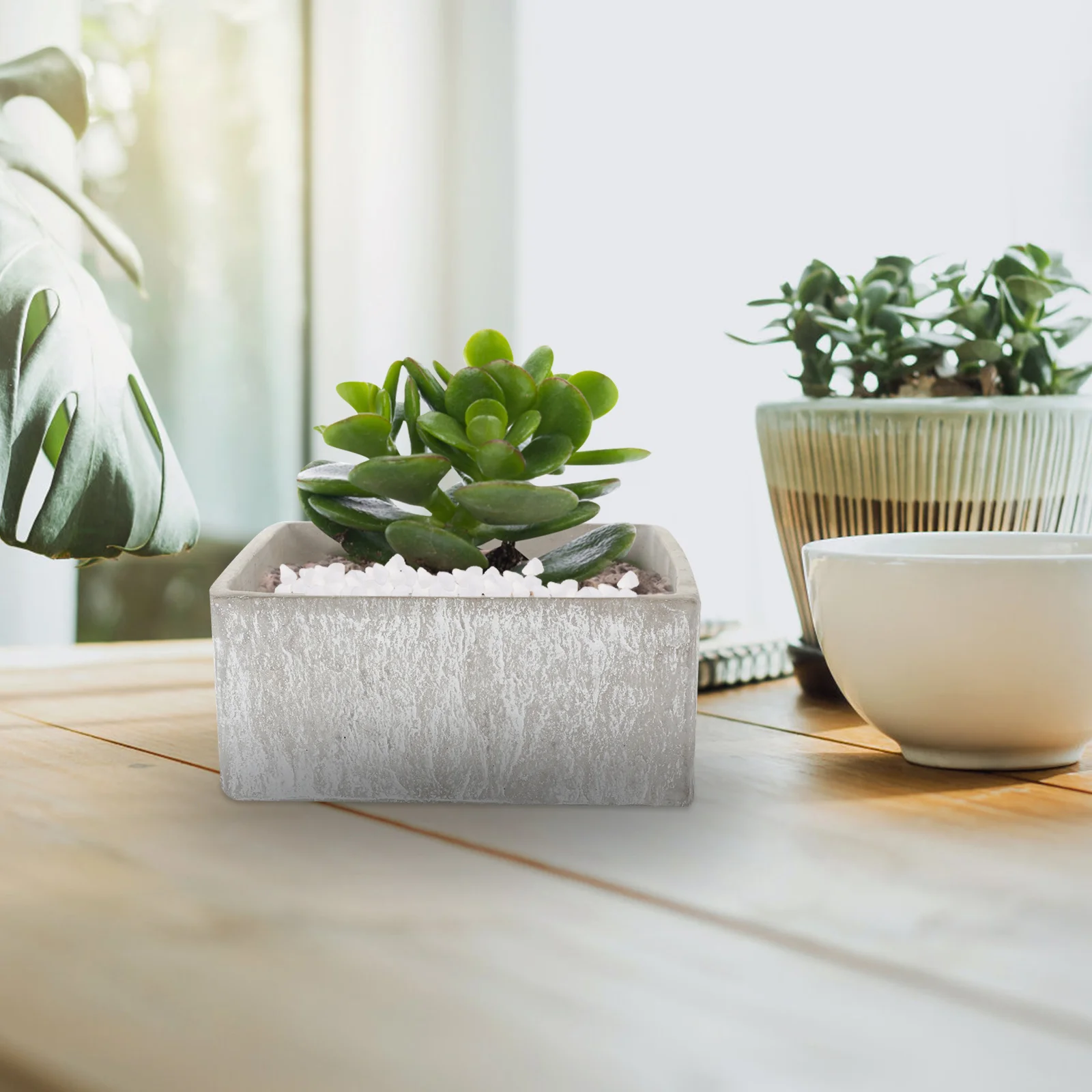 250G Natural Stone Gravel for Aquarium Fish Tank Substrate Decorative Pebbles Indoor Plants Terrariums Balanced Microecosystem
250G Natural Stone Gravel for Aquarium Fish Tank Substrate Decorative Pebbles Indoor Plants Terrariums Balanced Microecosystem