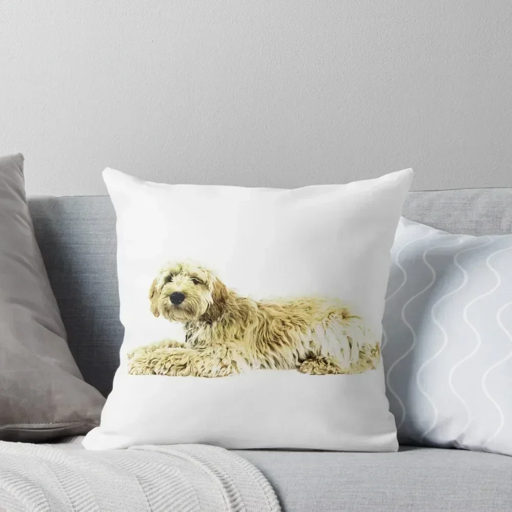 Golden doodle dog Throw Pillow Christmas Pillows Custom Cushion Photo Couch Cushions Christmas Covers For Cushions pillow
Golden doodle dog Throw Pillow Christmas Pillows Custom Cushion Photo Couch Cushions Christmas Covers For Cushions pillow