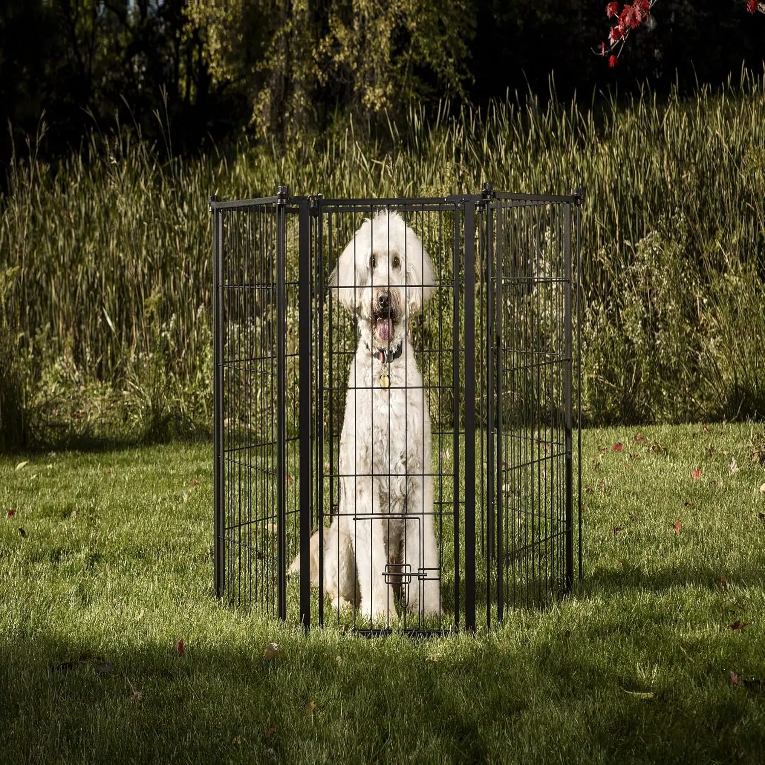 3-in-1 Extra Tall Weather-Resistant Outdoor 144-Inch Wide Pet Gate, Pen and Fence
3-in-1 Extra Tall Weather-Resistant Outdoor 144-Inch Wide Pet Gate, Pen and Fence