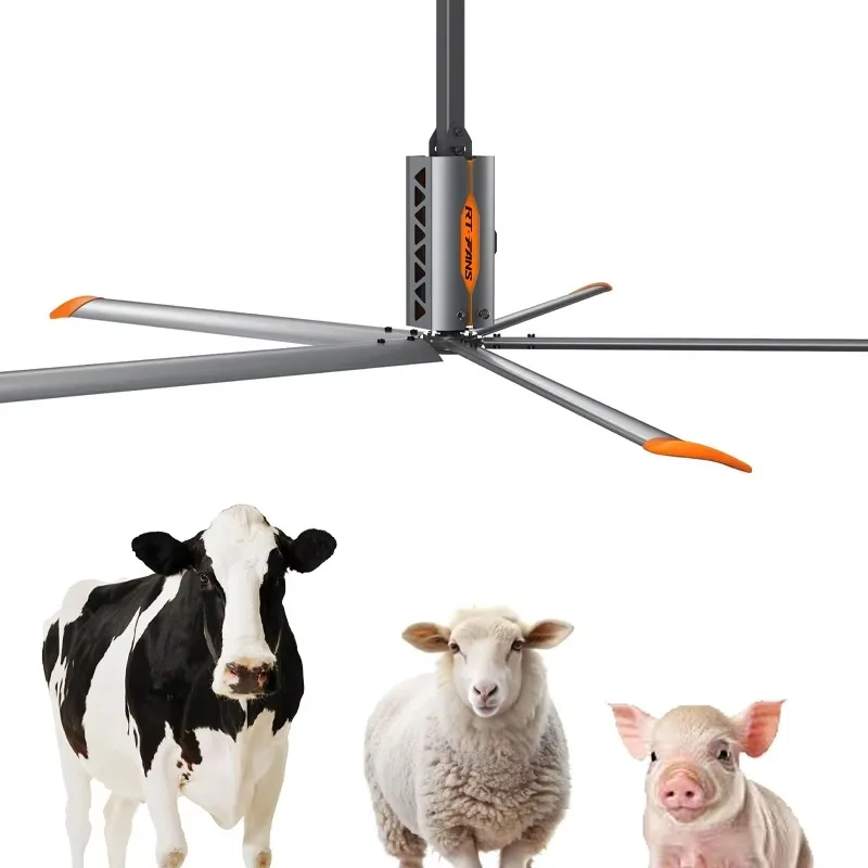 Big Butt Livestock Other Ventilator Fan Poultry Dairy Farm Cattle Pig Sheep Fan HVLS Industrial Commercial Fan
Big Butt Livestock Other Ventilator Fan Poultry Dairy Farm Cattle Pig Sheep Fan HVLS Industrial Commercial Fan