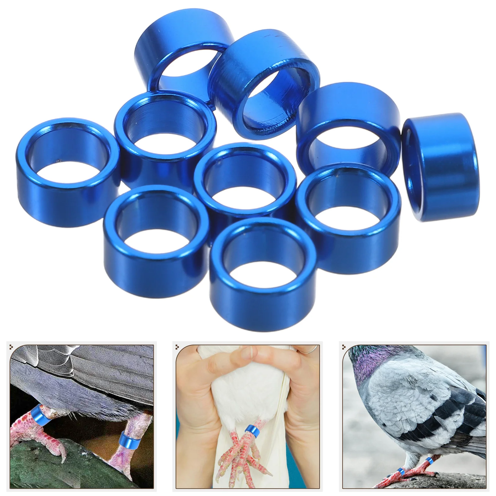 10 Pcs Clamp Retaining Ring Pigeon Anklet Aluminium Dove Leg Rings Identification Bird Identify
10 Pcs Clamp Retaining Ring Pigeon Anklet Aluminium Dove Leg Rings Identification Bird Identify