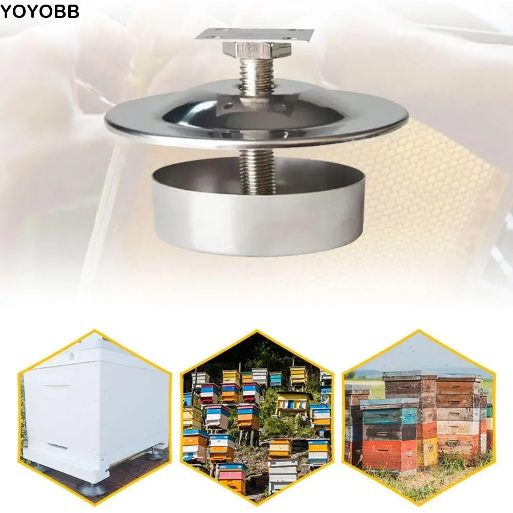 Stainless Steel Beehive Stand Feet Rustproof Adjustable Hive Stand Heavy-Duty Stand Sturdy Ant-Proof Beehive Stand
Stainless Steel Beehive Stand Feet Rustproof Adjustable Hive Stand Heavy-Duty Stand Sturdy Ant-Proof Beehive Stand