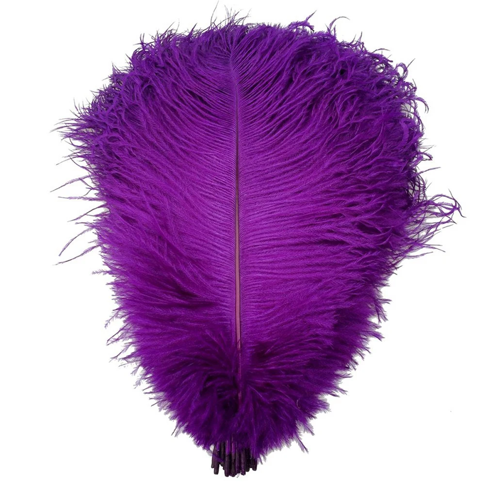 20pcs Natural Ostrich Decorative Real Wedding Party Crafts Trimmings Home Decorations Artificial
20pcs Natural Ostrich Decorative Real Wedding Party Crafts Trimmings Home Decorations Artificial