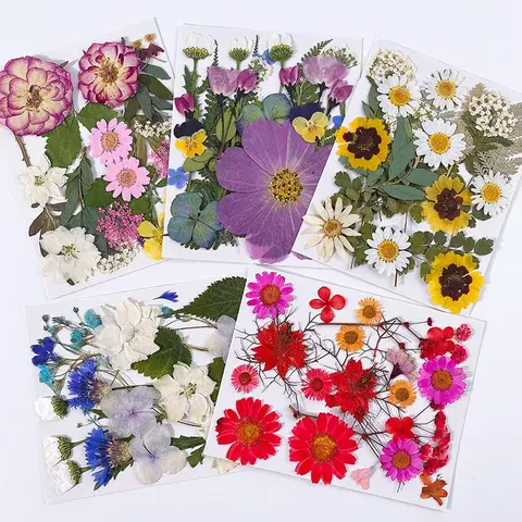 Conjunto de 20 peças de flores secas prensadas para fazer joias de resina, recheios de plantas naturais reais para decorações de arte de unhas
