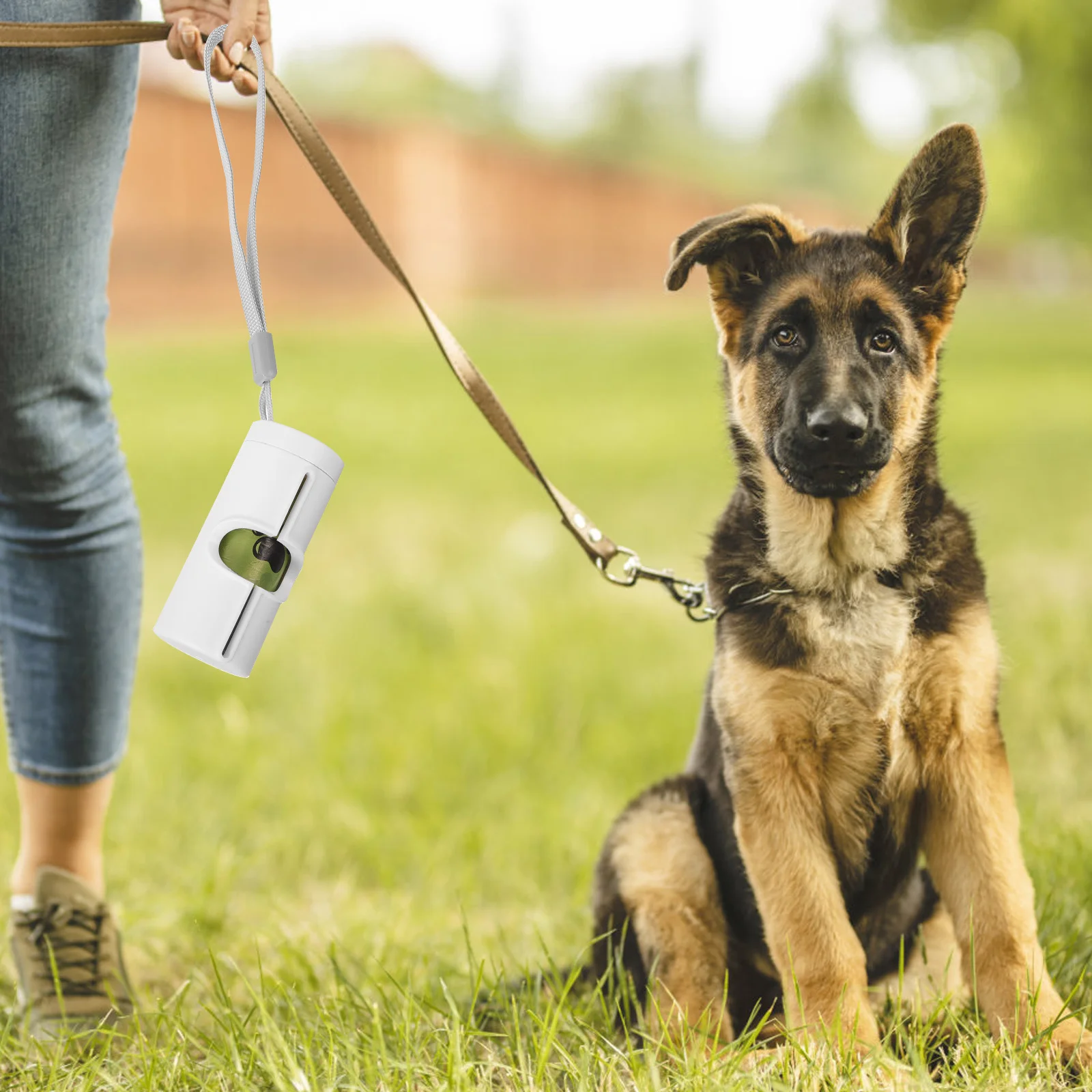 Pet Poop Bag Holder with Dispenser Reusable Waste Bag Carrier for Dogs Outdoor Clean Up Essential Pet Supply Travel Convenient
Pet Poop Bag Holder with Dispenser Reusable Waste Bag Carrier for Dogs Outdoor Clean Up Essential Pet Supply Travel Convenient