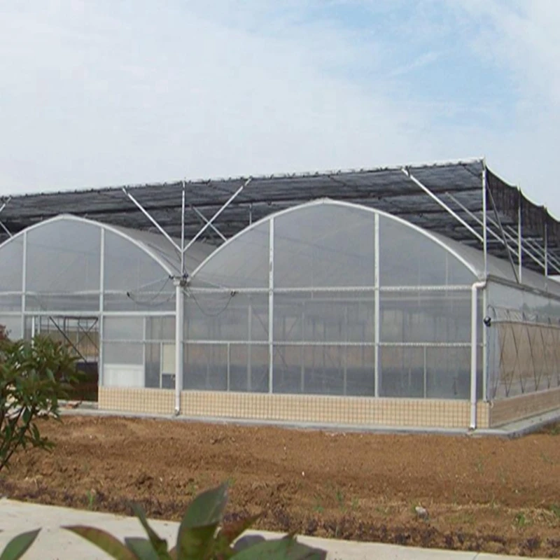 Customized greenhouseLarge Size Multi-span Greenhouse with Double Layer PE Film for Growing Tomatoes and Vegetables
Customized greenhouseLarge Size Multi-span Greenhouse with Double Layer PE Film for Growing Tomatoes and Vegetables