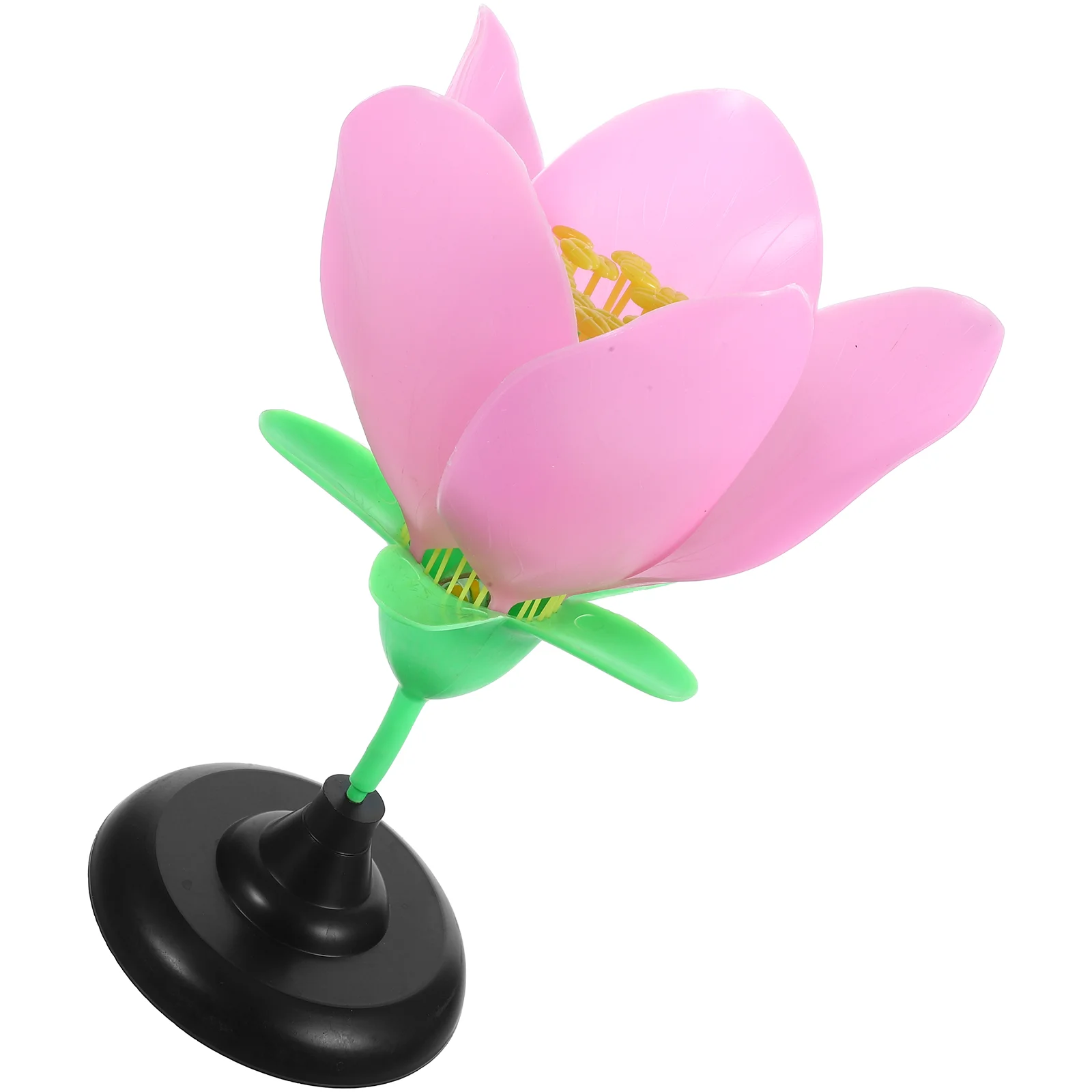 Plastic Peach Blossom Model Realistic Floral Plant Model Biology Teaching Instrument Flower Anatomy Model
Plastic Peach Blossom Model Realistic Floral Plant Model Biology Teaching Instrument Flower Anatomy Model
