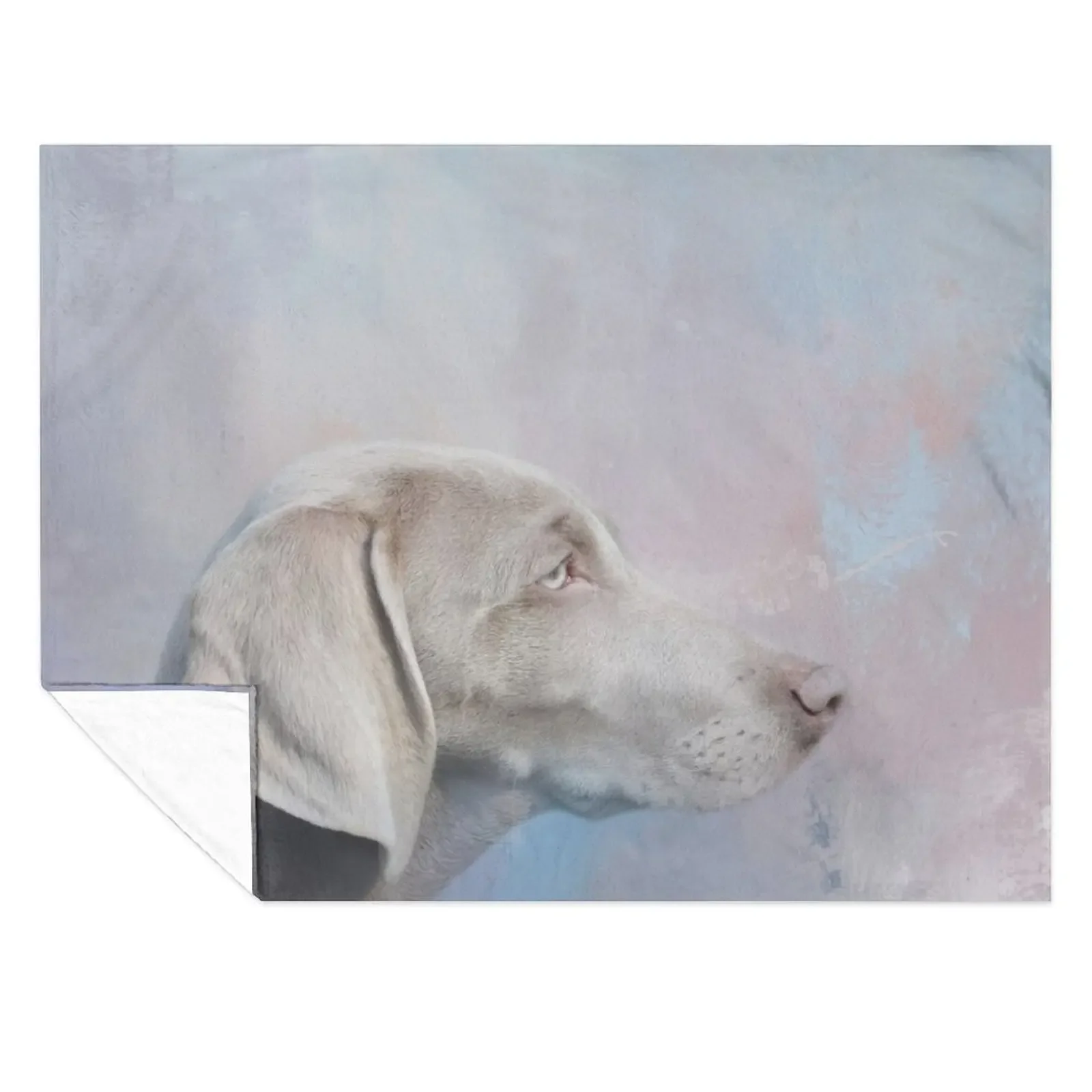 Cute Weimaraner Dog Throw Blanket Tourist Hairys Retros Decorative Sofa Blankets
Cute Weimaraner Dog Throw Blanket Tourist Hairys Retros Decorative Sofa Blankets