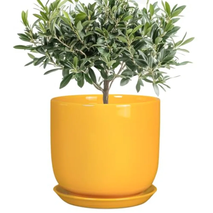 Ceramic Plant Pot - Decorative Modern Round Indoor Planter for Plants Flowers with Drainage Hole and Saucer, House Desk Office
Ceramic Plant Pot - Decorative Modern Round Indoor Planter for Plants Flowers with Drainage Hole and Saucer, House Desk Office