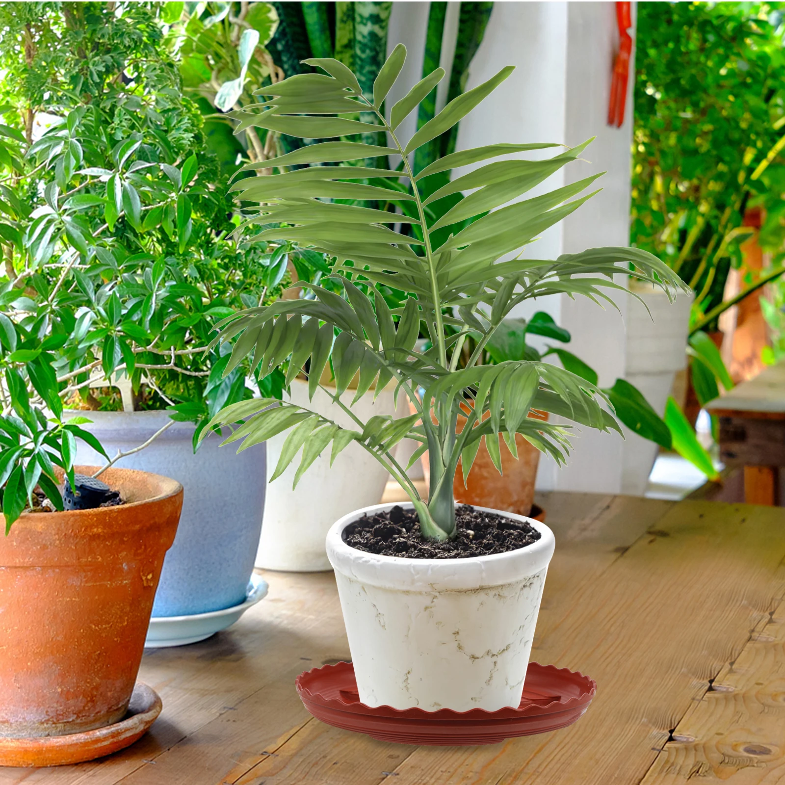 20 Pcs Water Tray Flower Pot Bottom Pad Drip Trays Garden Saucers Planter for Indoor Plants Plastic
20 Pcs Water Tray Flower Pot Bottom Pad Drip Trays Garden Saucers Planter for Indoor Plants Plastic