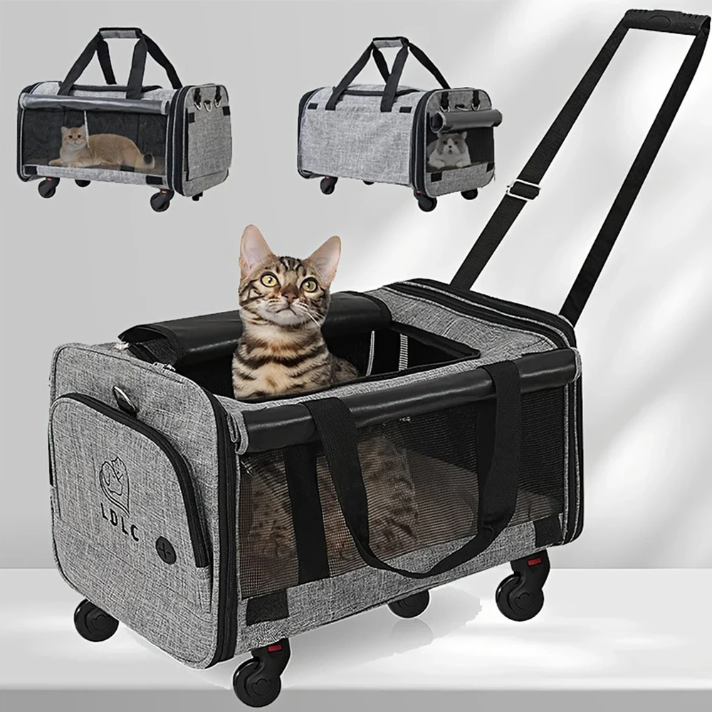 PARKER Multi-Use Cat &Dog Walking Bag Outdoor Outdoor Cat and Dog Bag with Wheels Portable Pet Tow Wheel Bag Removable Folding
PARKER Multi-Use Cat &Dog Walking Bag Outdoor Outdoor Cat and Dog Bag with Wheels Portable Pet Tow Wheel Bag Removable Folding