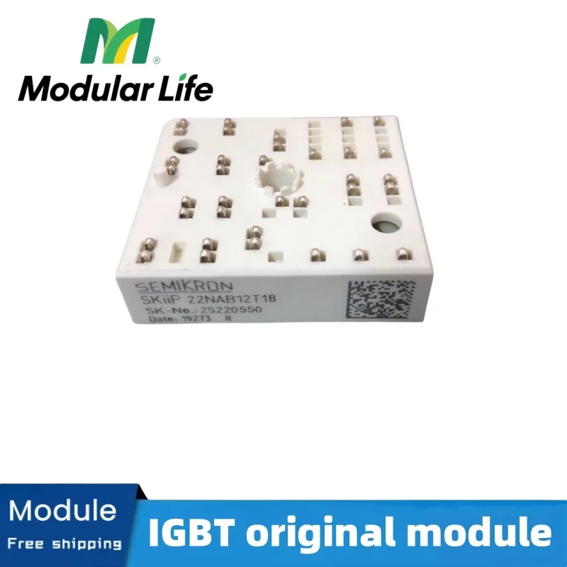 SKIIP20NAB12IT36 SKIIP20NAB12IT38 SKIIP20NAB12IT43 SKIIP22NAB12IT45 SKiiP22NAB12T46 SKIIP22NAB12T18 Original Power Module
SKIIP20NAB12IT36 SKIIP20NAB12IT38 SKIIP20NAB12IT43 SKIIP22NAB12IT45 SKiiP22NAB12T46 SKIIP22NAB12T18 Original Power Module