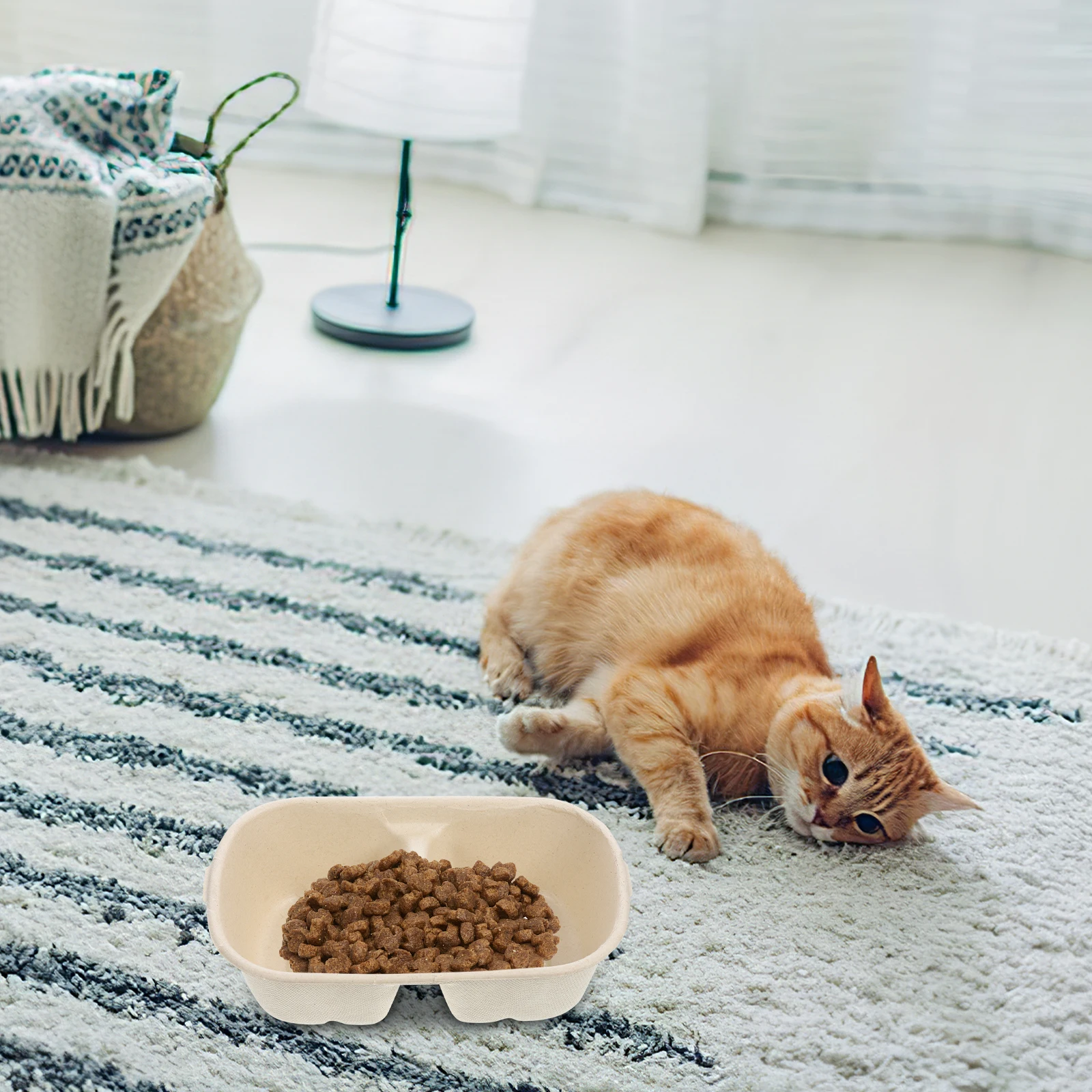 Disposable 700ml Water Food Bowl Cats Dogs Function Pet Bowls function Paper Bowls Daily Use Pet Supplies
Disposable 700ml Water Food Bowl Cats Dogs Function Pet Bowls function Paper Bowls Daily Use Pet Supplies
