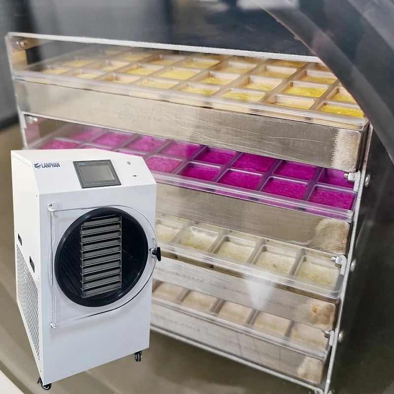 Freeze Dryer Vacuum Freeze Dryer Lyophilizer Machine Meat Freeze Dryer
Freeze Dryer Vacuum Freeze Dryer Lyophilizer Machine Meat Freeze Dryer