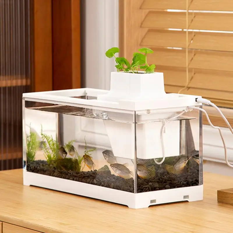 Desktop Fish Tank Low Voltage Small Mini Keeping Desktop Fish Tank Quiet Aquarium Aquarium Keeping Home Aquarium With Pumps
Desktop Fish Tank Low Voltage Small Mini Keeping Desktop Fish Tank Quiet Aquarium Aquarium Keeping Home Aquarium With Pumps