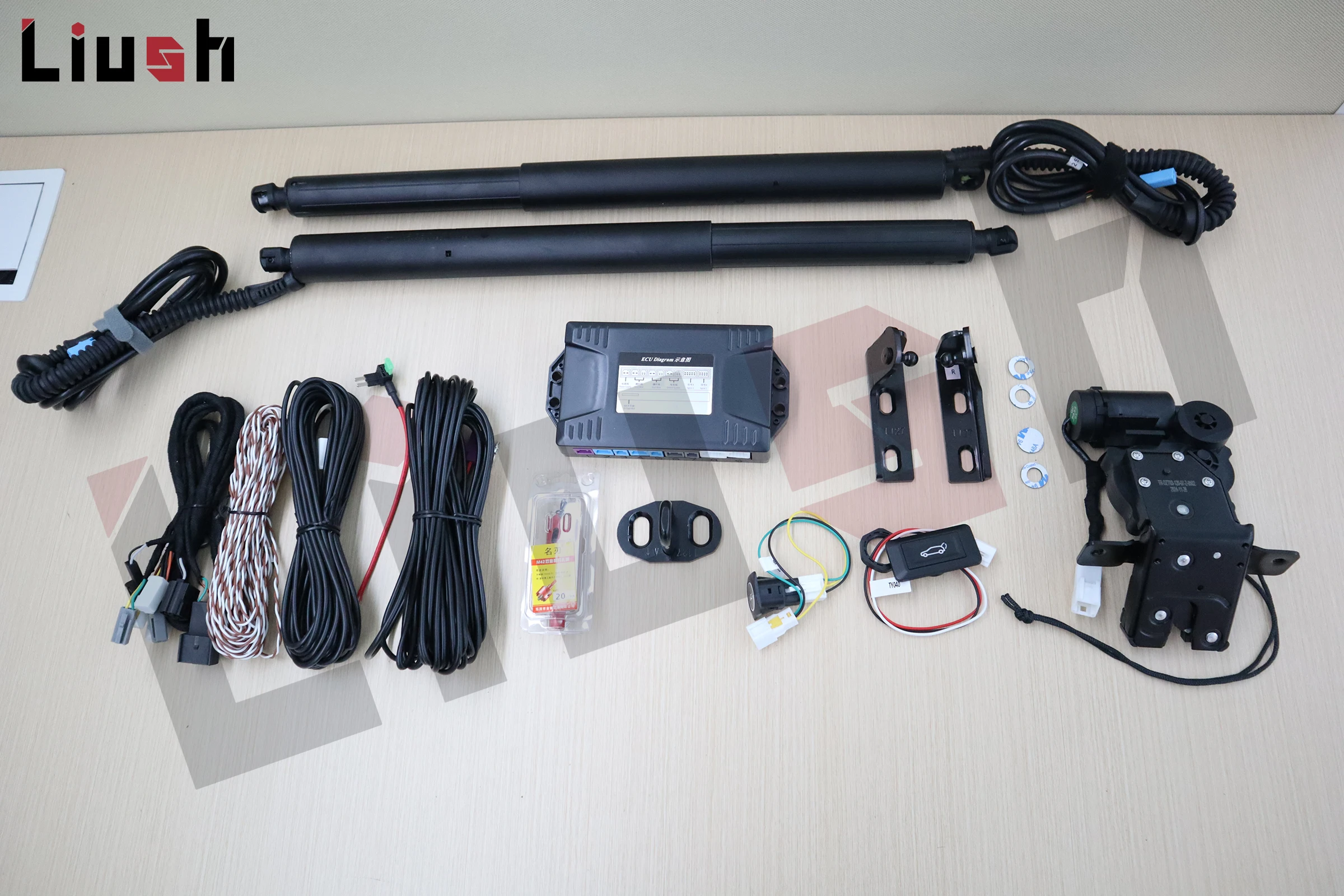 MSHot Sale Liush Electric Power Tailgate Lift for Kia Sonet 2022+ with Foot Kick Sensor Modification Smart Power Rear Door Upgra