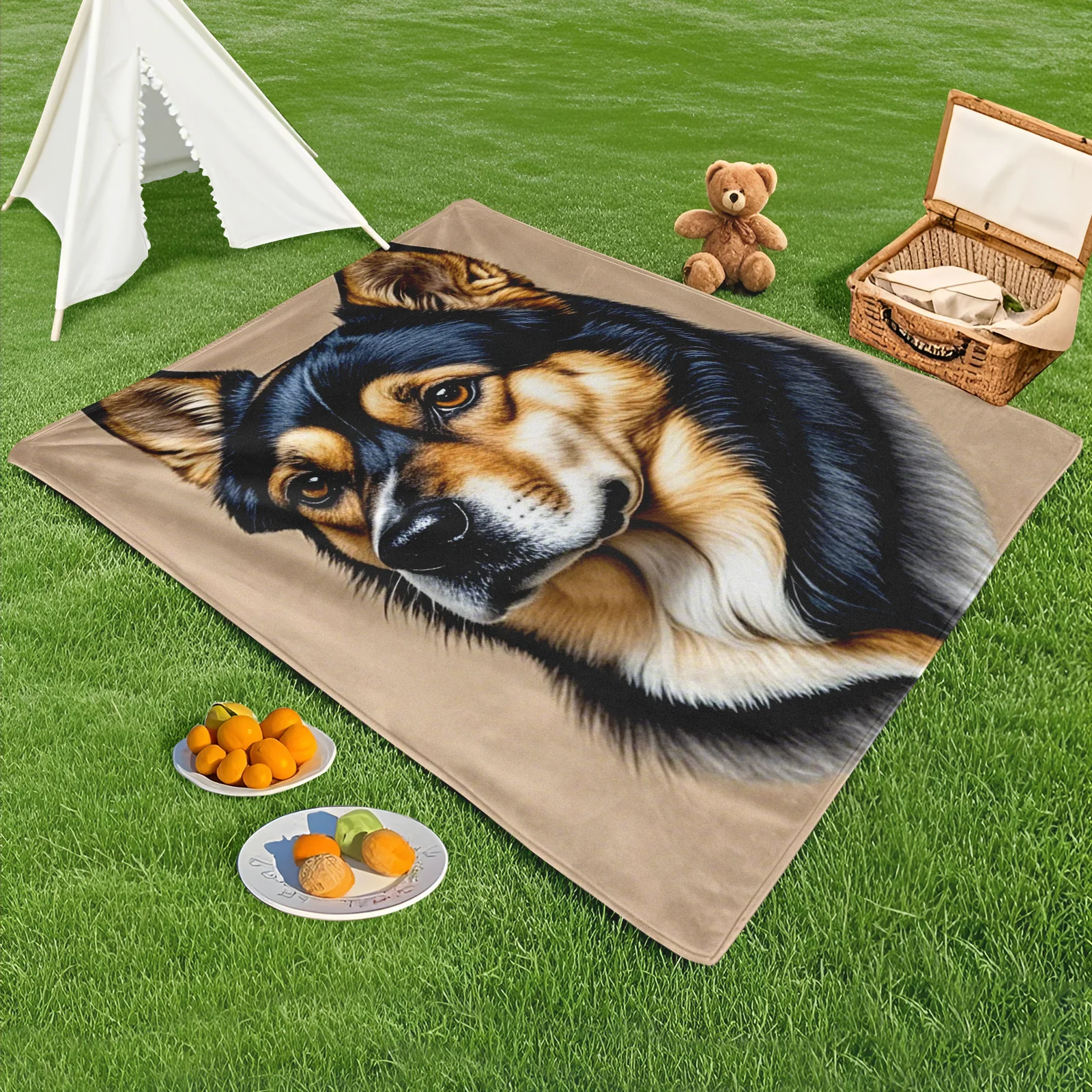 Elegant Shiba Inu Blanket With Black And Yellow Design For Outdoor Decoration And Friendly Gathering Spaces
Elegant Shiba Inu Blanket With Black And Yellow Design For Outdoor Decoration And Friendly Gathering Spaces