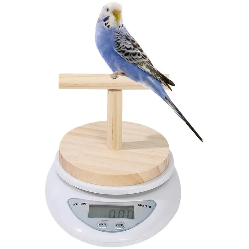 Digital Bird Scale Parrot Training Bird Small Animal Scale With Perch High Accuracy Convenient Digital Weighing Tool For Weight
Digital Bird Scale Parrot Training Bird Small Animal Scale With Perch High Accuracy Convenient Digital Weighing Tool For Weight