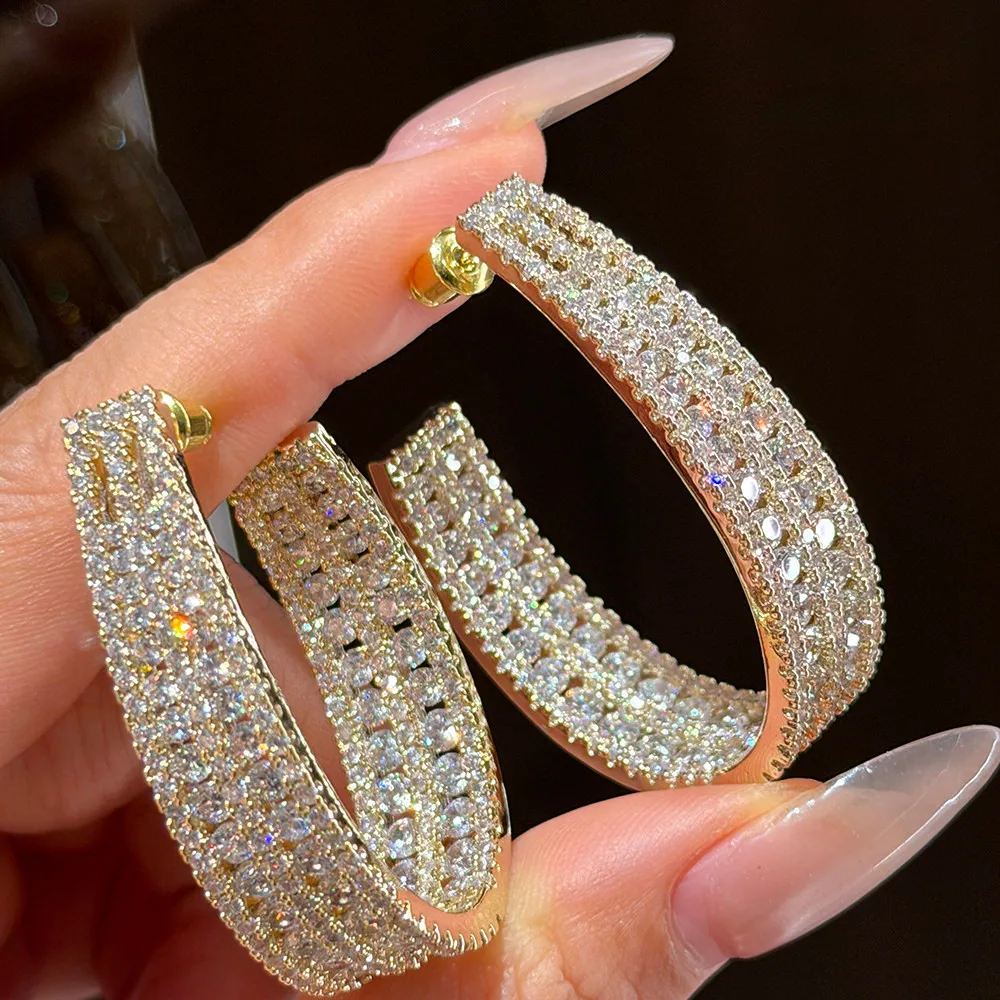Luxury New Exquisite Temperament Long Zircon Earrings
Luxury New Exquisite Temperament Long Zircon Earrings