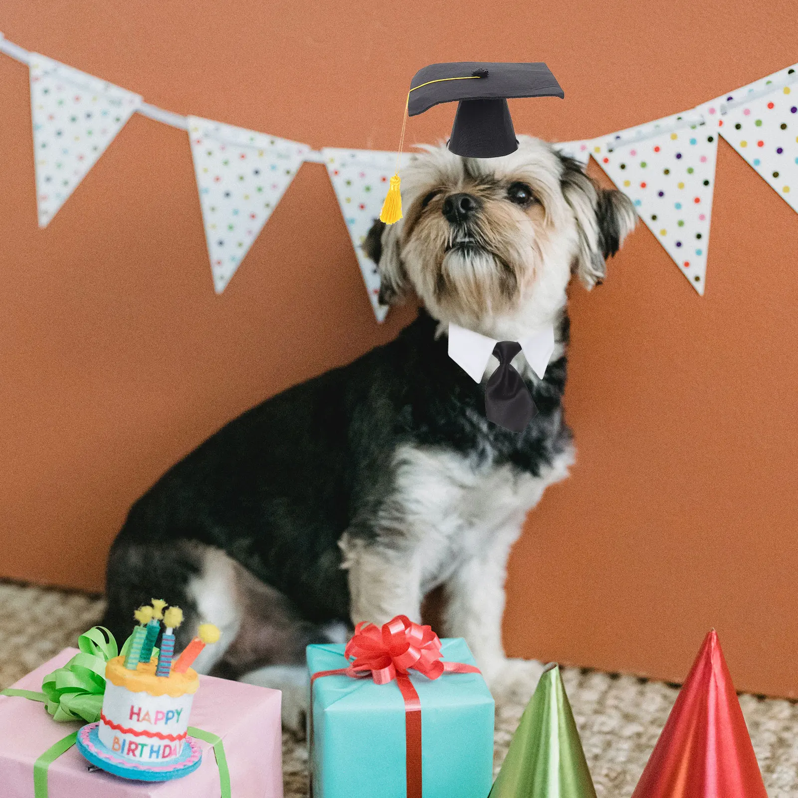 Pet Graduation Dog Hat Tie Glasses Black Costume Photo Pet Dog Hat With Tie Glasses Graduation Caps Props Birthday
Pet Graduation Dog Hat Tie Glasses Black Costume Photo Pet Dog Hat With Tie Glasses Graduation Caps Props Birthday