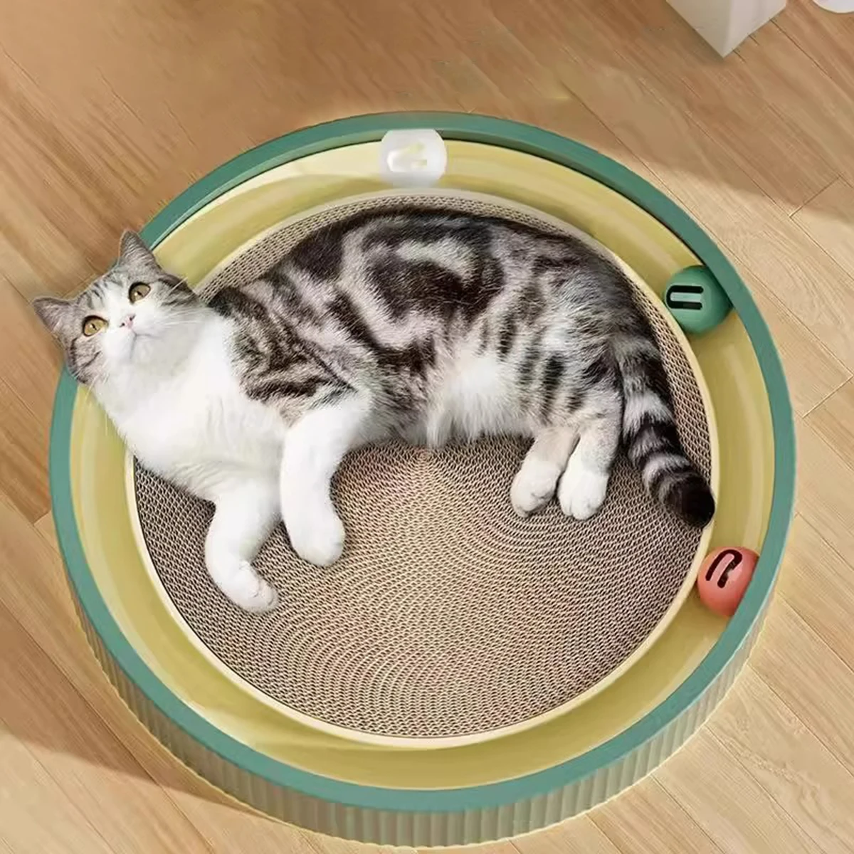 Multifunctional Cat Scratching Board, PP Shell with Corrugated Paper, Durable & Moisture-Proof Design
Multifunctional Cat Scratching Board, PP Shell with Corrugated Paper, Durable & Moisture-Proof Design
