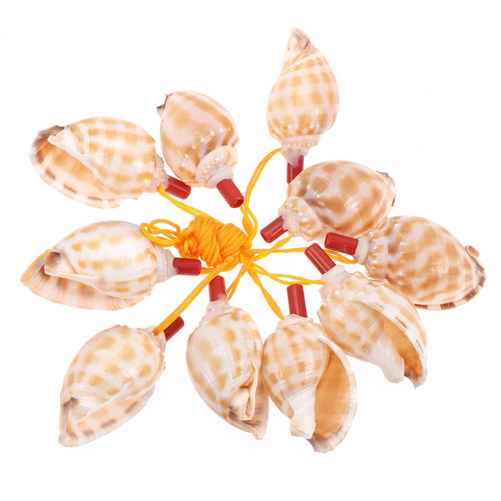 10 Pcs Conch Whistle 9 10 Cm Shell Craft Musical Toy Kids Party Favor Bright Color ABS Safe Whistle Outdoor Tool
10 Pcs Conch Whistle 9 10 Cm Shell Craft Musical Toy Kids Party Favor Bright Color ABS Safe Whistle Outdoor Tool