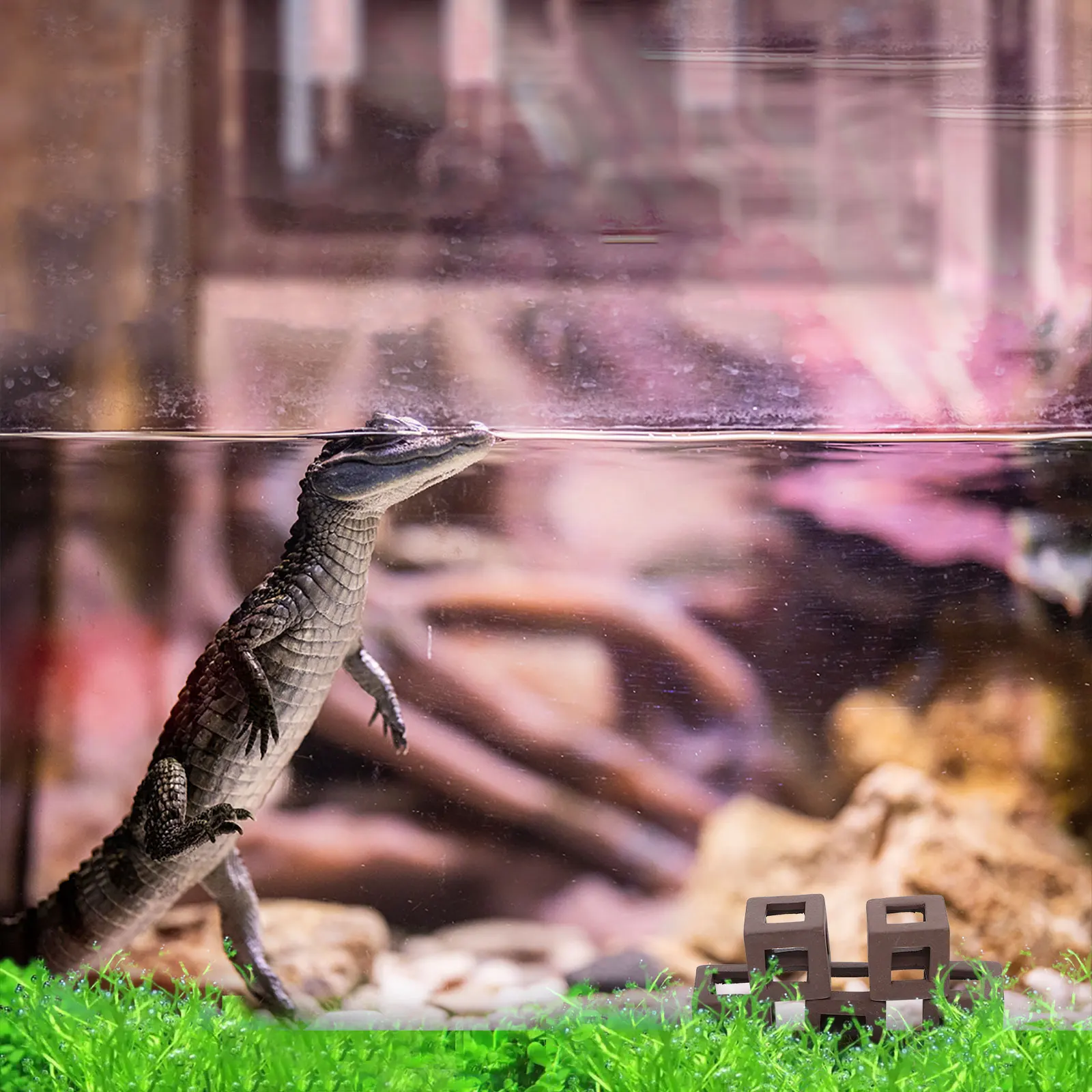 5Pcs Fish Tank Ceramic Hideout Aquarium Decoration Durable Fish Shrimp Shelter Landscaping Ornament Aquarium Decor 
5Pcs Fish Tank Ceramic Hideout Aquarium Decoration Durable Fish Shrimp Shelter Landscaping Ornament Aquarium Decor