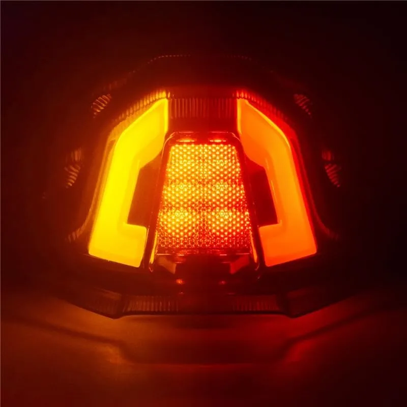 Precise Motorcycle Brake Turn Signal Tail Light Integrated For MT07 2025 LED Stop Light Accessories
Precise Motorcycle Brake Turn Signal Tail Light Integrated For MT07 2025 LED Stop Light Accessories