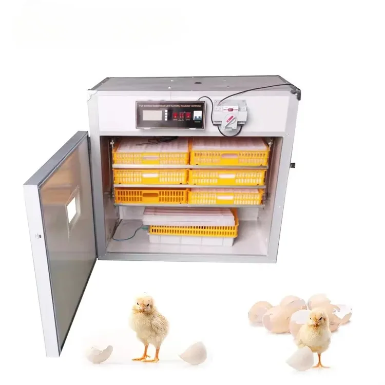 12V Dual Power Incubator for Ostrich Chicken Hatching
12V Dual Power Incubator for Ostrich Chicken Hatching