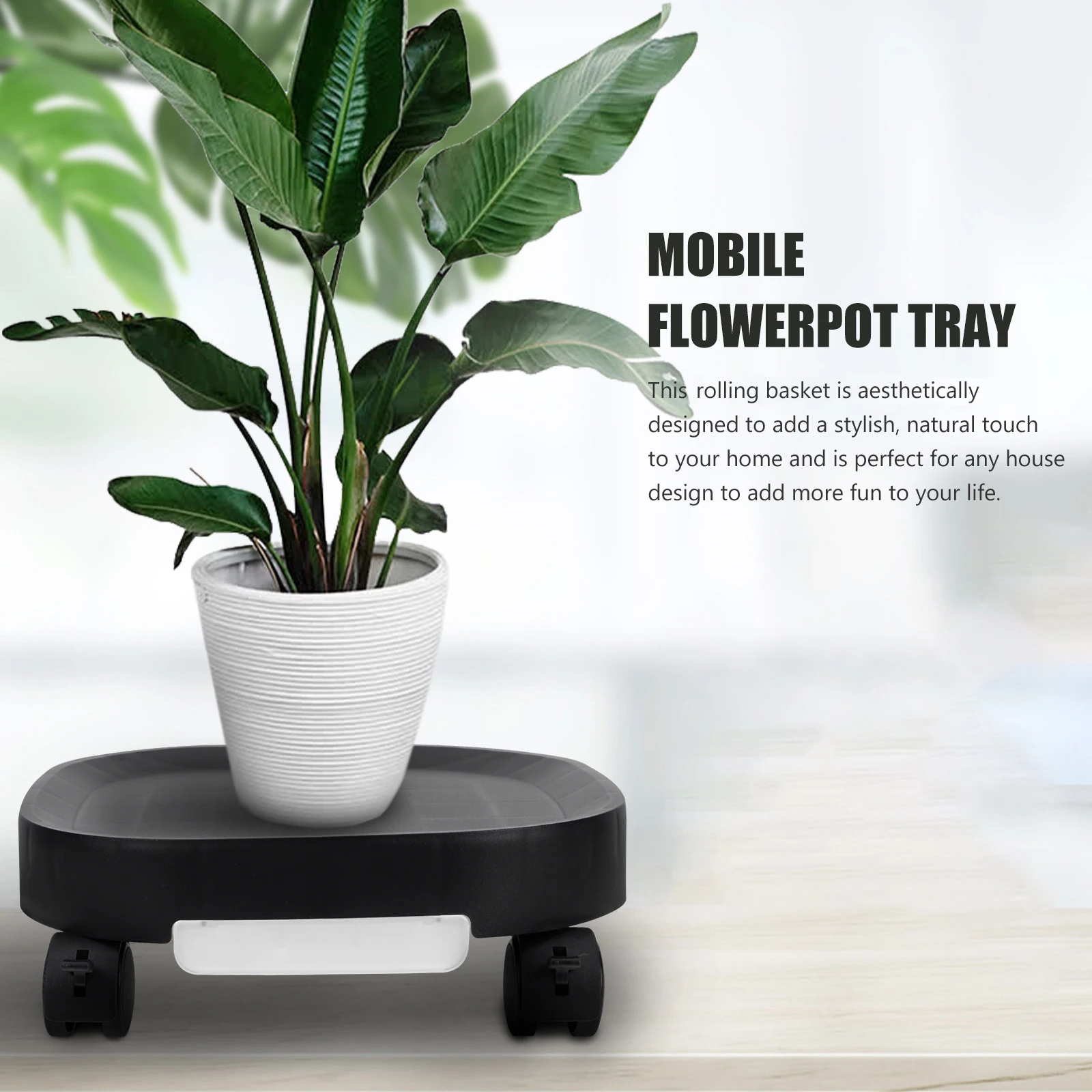 Wheeled Flower Tray Large Pots Outdoor Stand Indoor Plants Planter Mover Casters Universal
Wheeled Flower Tray Large Pots Outdoor Stand Indoor Plants Planter Mover Casters Universal