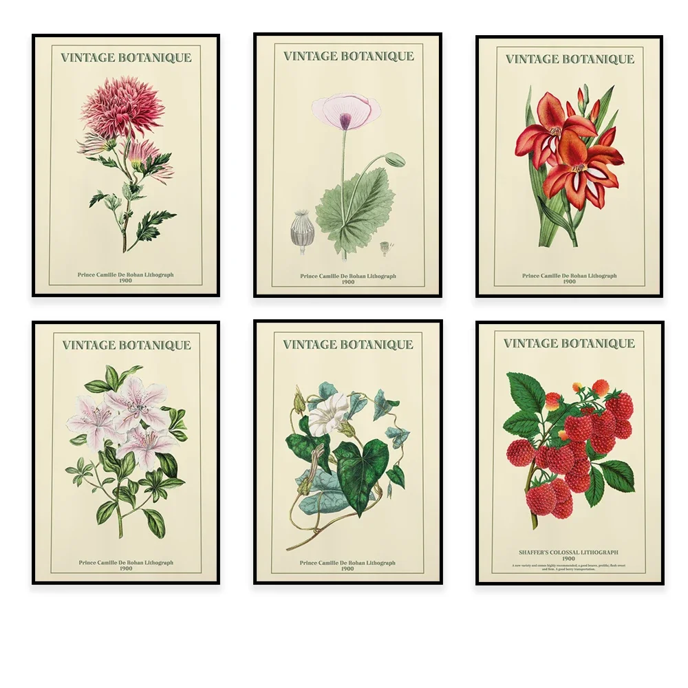 Flower Market Prints, Matisse Flowers, Guzmania Posters, Orchids, Raspberries, Botanical Prints, Florist Wall Decor Posters
Flower Market Prints, Matisse Flowers, Guzmania Posters, Orchids, Raspberries, Botanical Prints, Florist Wall Decor Posters