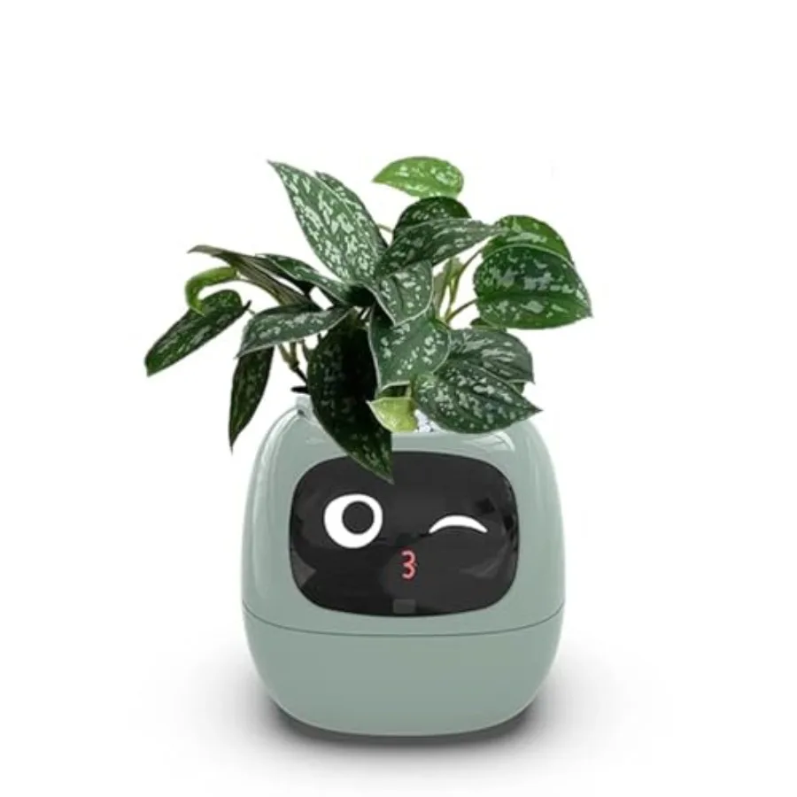 Smart Flowerpots, Smart Pet Planter, Ai Planter, Intelligent Flowerpots, Multiple Expressions, 7 Smart Sensors, And Ai Chips Ma
Smart Flowerpots, Smart Pet Planter, Ai Planter, Intelligent Flowerpots, Multiple Expressions, 7 Smart Sensors, And Ai Chips Ma