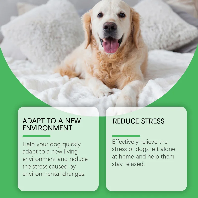 Women's Gummies and Capsules Provide Moisture Support Foot Skin Relieve Fatigue and Improve Circulation
Women's Gummies and Capsules Provide Moisture Support Foot Skin Relieve Fatigue and Improve Circulation