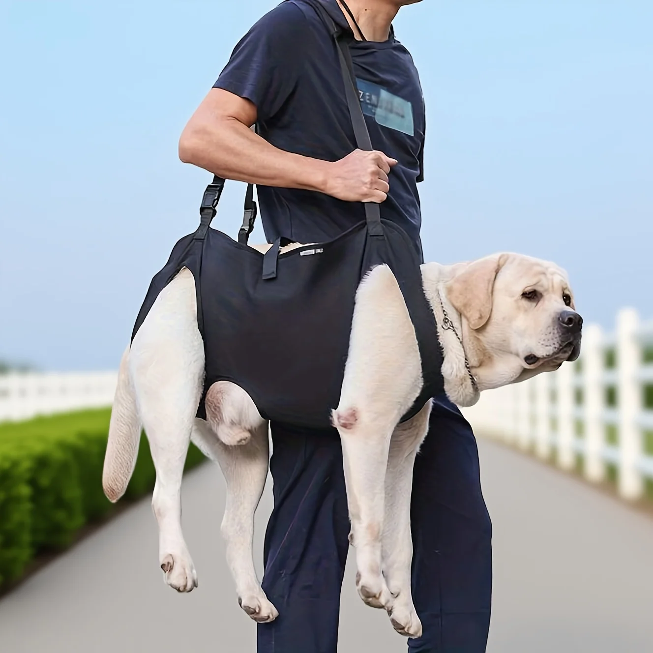 Support Harnesses for Pets, Emergency Bags, Lifting Aids for Leg Support And Recovery, Paw Maintenance, Utilized for Joint Issues, Arthritis, And Helping Older Dogs with Stairs
Support Harnesses for Pets, Emergency Bags, Lifting Aids for Leg Support And Recovery, Paw Maintenance, Utilized for Joint Issues, Arthritis, And Helping Older Dogs with Stairs