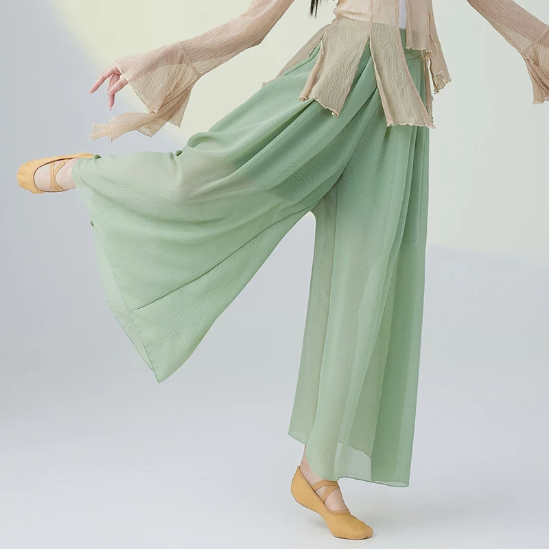 New Chinese Folk Dance Costume Women Wide Leg Pants Classical Modern Dancing Clothes
New Chinese Folk Dance Costume Women Wide Leg Pants Classical Modern Dancing Clothes