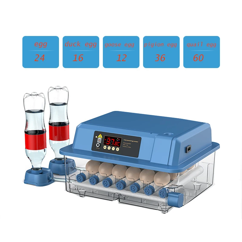 24/54 Eggs Incubator with Temperature Control Dual Power for Hatching Ducks Chicken Ionic Waterbed Automatic Water Replenishment
24/54 Eggs Incubator with Temperature Control Dual Power for Hatching Ducks Chicken Ionic Waterbed Automatic Water Replenishment