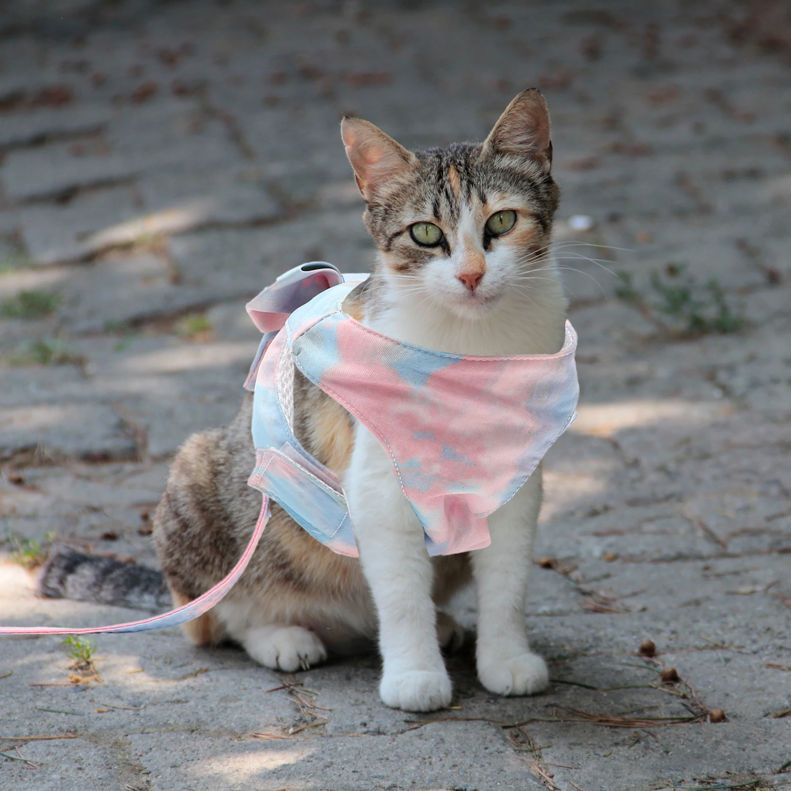 Pet Harness Cat Walking Leash Kit Bowknot Vest Rope Small Cats Adjustable Comfortable Breathable Long Traction Durable
Pet Harness Cat Walking Leash Kit Bowknot Vest Rope Small Cats Adjustable Comfortable Breathable Long Traction Durable