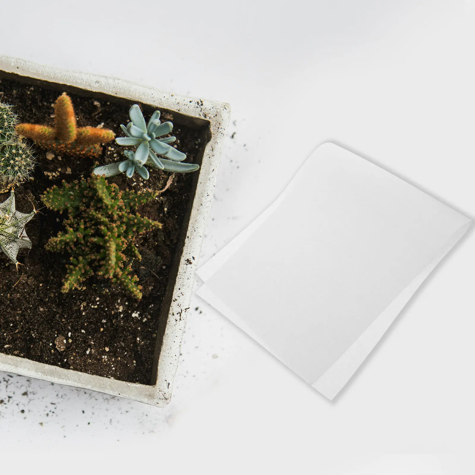 100 шт. проращивающая бумага, прочные аксессуары для посадки семян, соевые бобы, морщины пшеницы, увлажняющие, герметичные, для детской комнаты 
100 шт. проращивающая бумага, прочные аксессуары для посадки семян, соевые бобы, морщины пшеницы, увлажняющие, герметичные, для детской комнаты