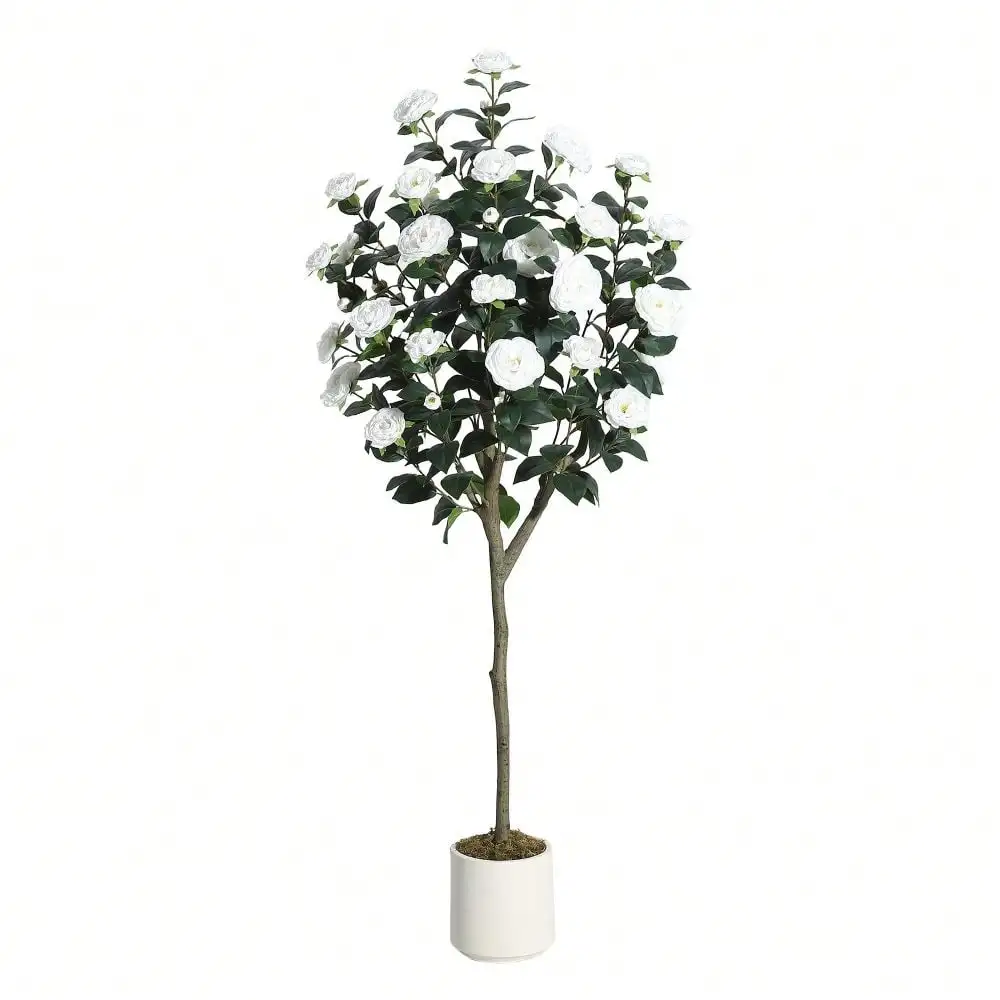 3/4/5FT Realistic Artificial Camellia Tree – Lifelike Faux Plant With White Silk Flowers – Decorative Potted Greenery For Home, Office, Living Room, Patio, Wedding & Events
3/4/5FT Realistic Artificial Camellia Tree – Lifelike Faux Plant With White Silk Flowers – Decorative Potted Greenery For Home, Office, Living Room, Patio, Wedding & Events