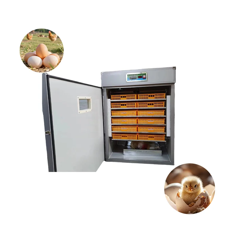 Инкубатор для яиц, автоматический и ручной, для выведения цыплят
Инкубатор для яиц, автоматический и ручной, для выведения цыплят