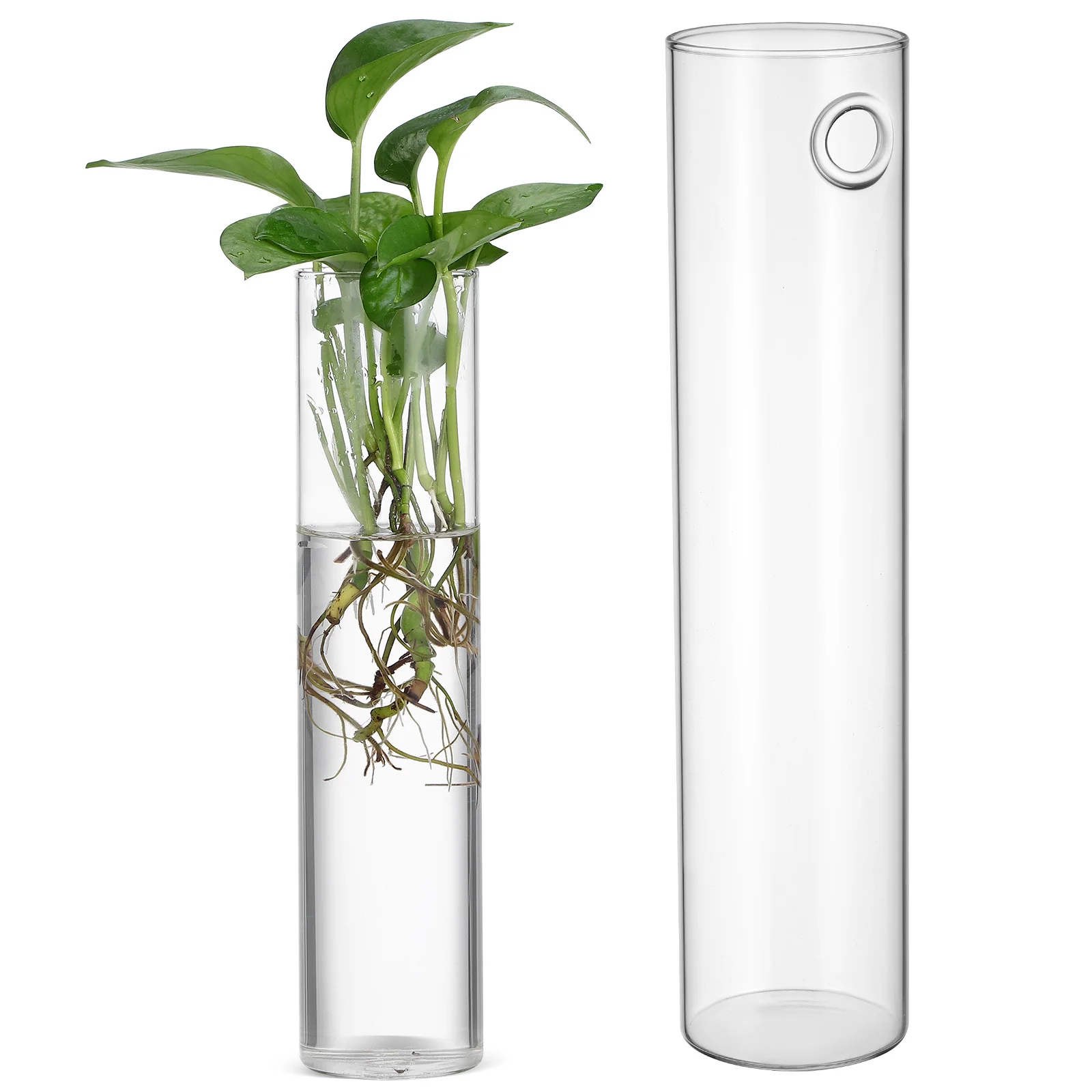 2Pcs Minimalist Cylinder Glass Wall Vase Hanging Modern Wall Mounted Glass Tube Holder Indoor Floral Decorations
2Pcs Minimalist Cylinder Glass Wall Vase Hanging Modern Wall Mounted Glass Tube Holder Indoor Floral Decorations