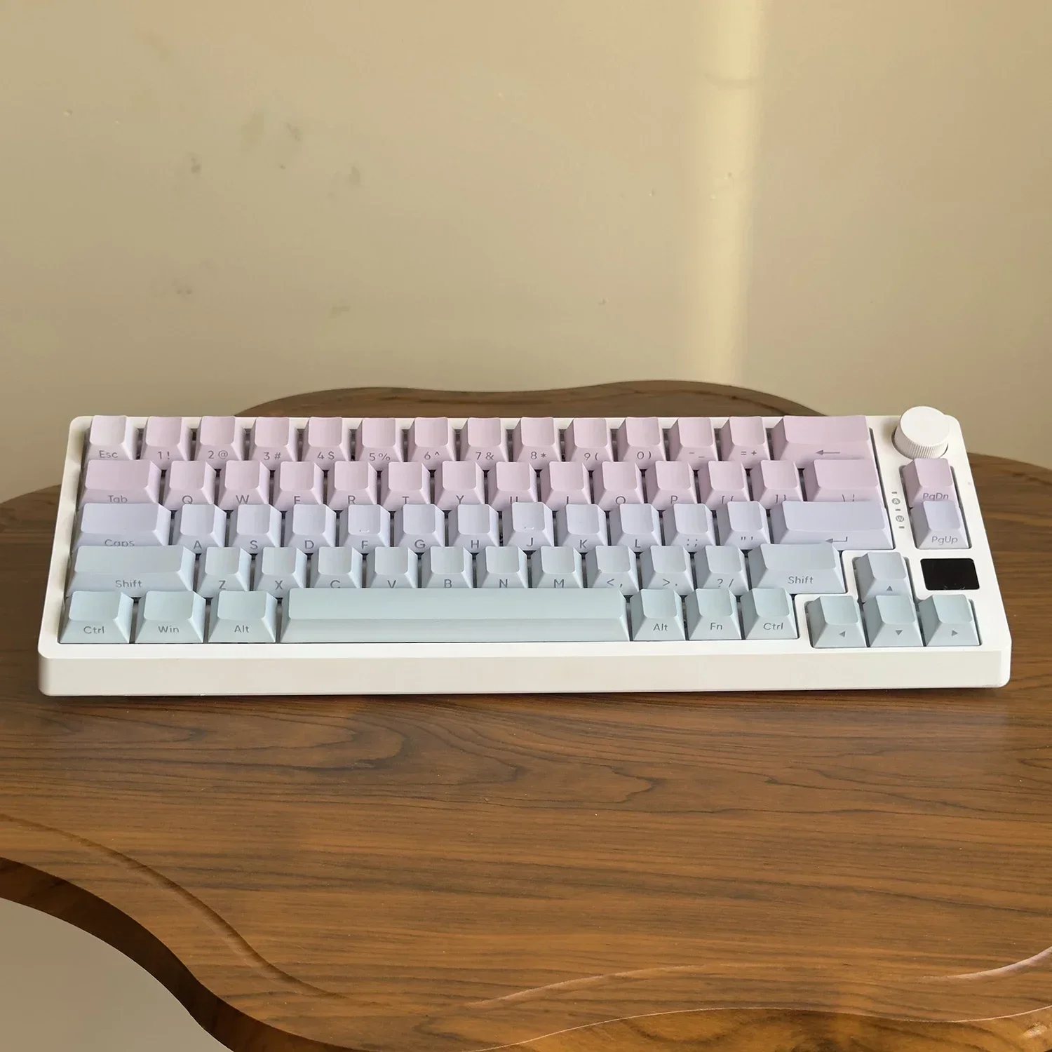 127 Keys Gradient Color Side Printed Keycaps Dye Sub Shine Through Keycap Cherry Profile for r Keyboard
127 Keys Gradient Color Side Printed Keycaps Dye Sub Shine Through Keycap Cherry Profile for r Keyboard