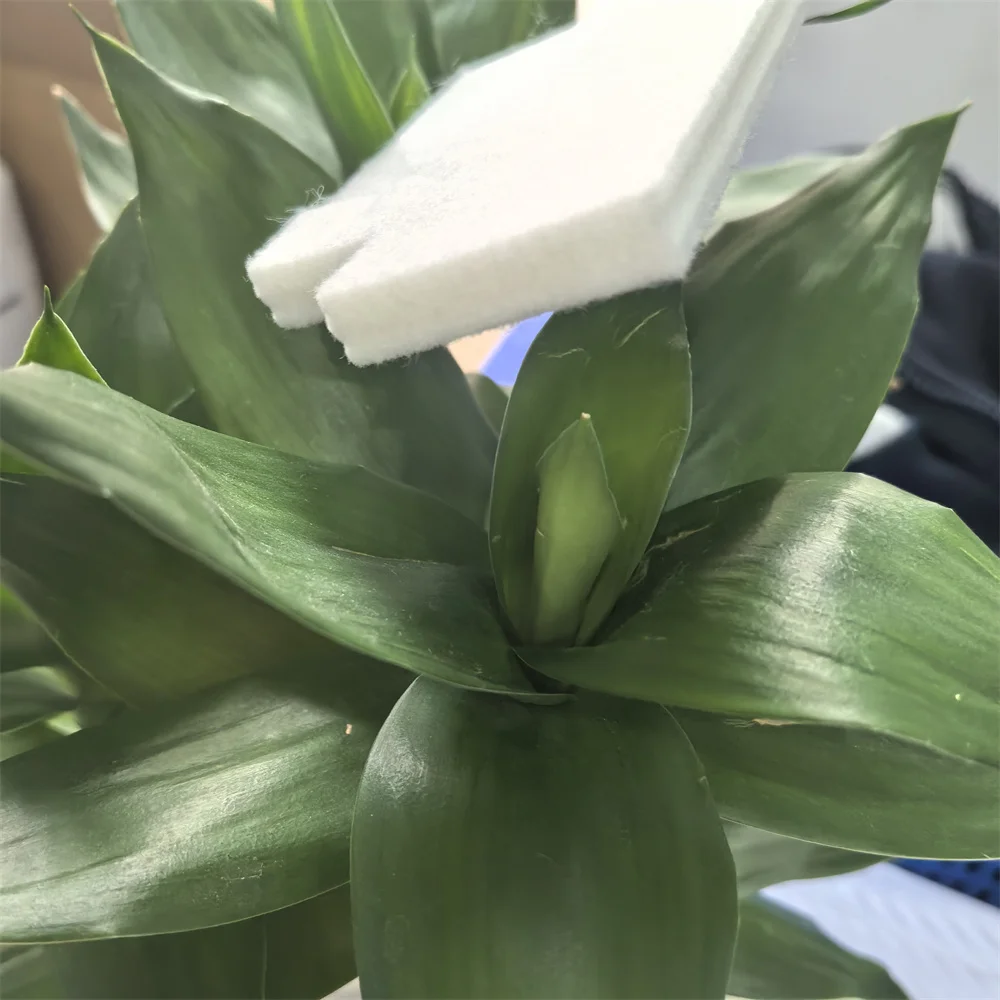 10X C9382 C12C938211 Губка для коробки обслуживания для EPSON WorkForce Pro WF C5310 C5810 C5390A C5890A C5390DW C5890DWF
10X C9382 C12C938211 Губка для коробки обслуживания для EPSON WorkForce Pro WF C5310 C5810 C5390A C5890A C5390DW C5890DWF