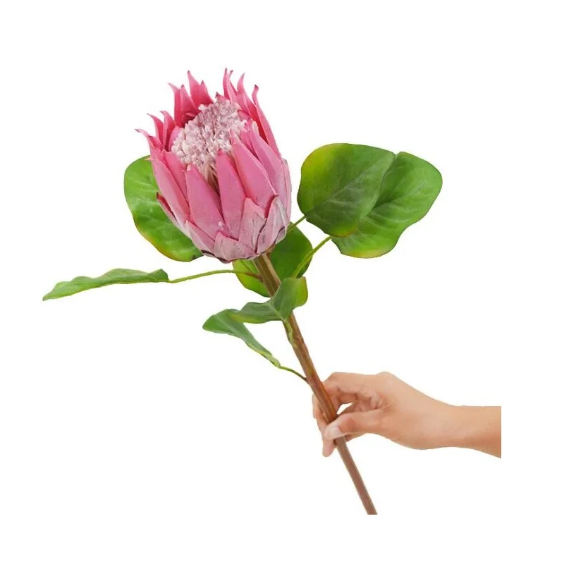 INDIGO-Purple Protea Cynaroides, Large Size Head, Artificial Flower, Wedding Party Event, Shopwindow Decoration, 70cm
INDIGO-Purple Protea Cynaroides, Large Size Head, Artificial Flower, Wedding Party Event, Shopwindow Decoration, 70cm