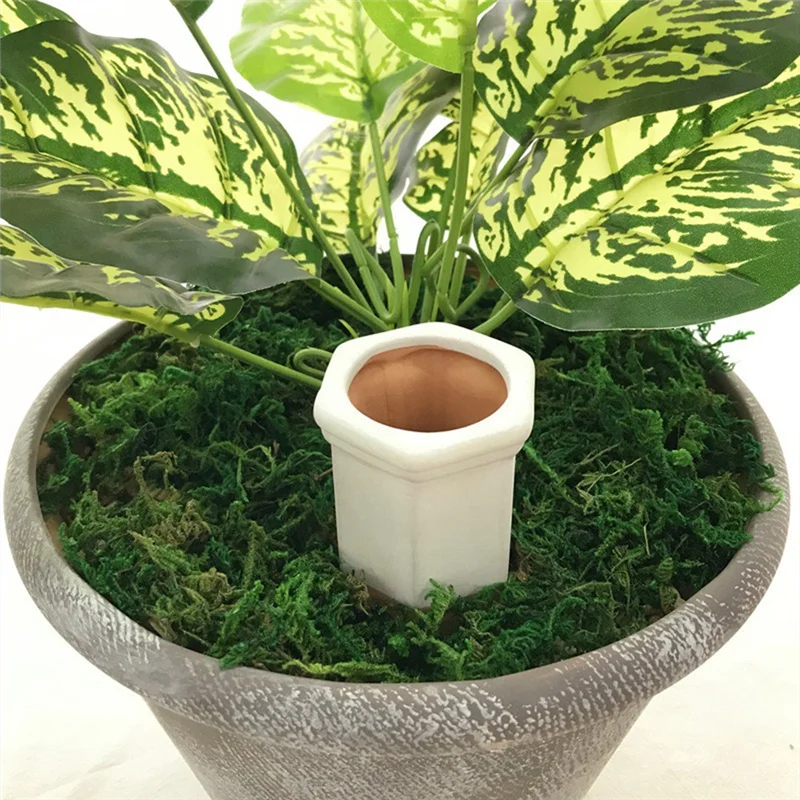 G6-10 Pack Self Watering Spikes Watering Spikes Plant Waterer Self Watering Terracotta Spikes Automatically
G6-10 Pack Self Watering Spikes Watering Spikes Plant Waterer Self Watering Terracotta Spikes Automatically